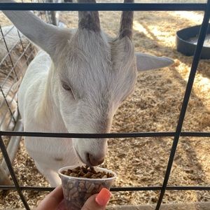 Meet your Posher, Haley